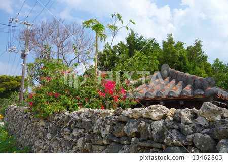 Scenery of Taketomi-jima Island, Okinawa Prefecture 13462803