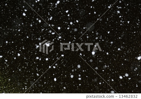 雪羽絨服 13462832