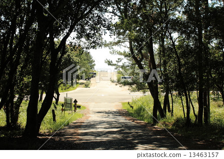 Irino Matsubara Irino Matsubara 13463157