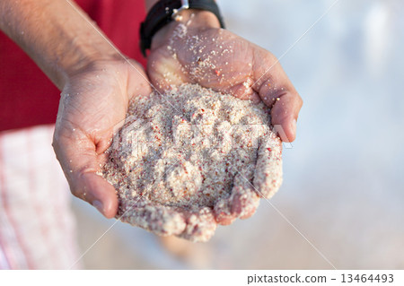 Bermuda Pink Sands Close Up 13464493