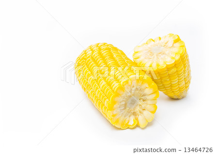 Boiled corn isolated on white Boiled corn isolated on white 13464726