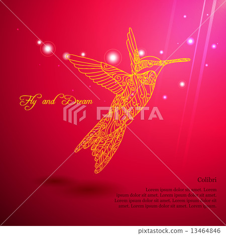 Gold lace colibri flying for dream Gold lace colibri flying for dream 13464846