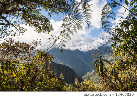 The path leading to Machu Picchu hill through the mountains, Sac The path leading to Machu Picchu hill through the mountains, Sac 13465820