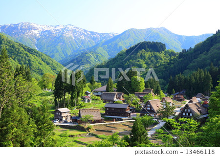 Gokayama Aikura village colony settlement of fresh green 13466118
