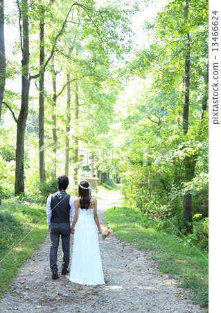 Forest wedding ceremony 13466624