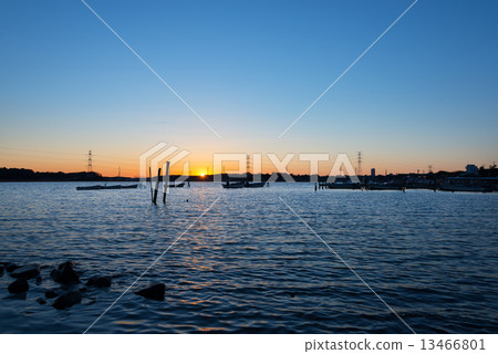 Blue swamp of dusk 13466801