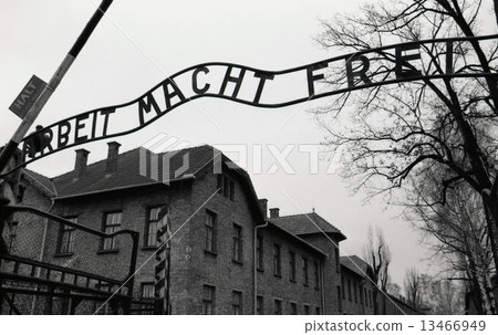 奧斯威辛 13466949