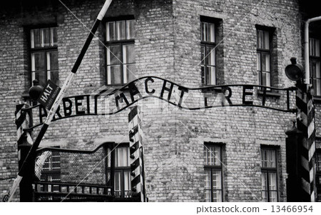 奧斯威辛 奧斯威辛 13466954