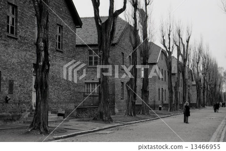 Auschwitz Auschwitz 13466955