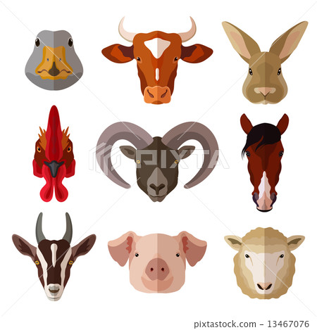 Pet Portrait Flat Icon Set 13467076