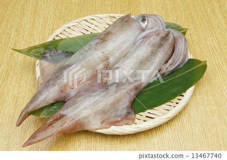 Raw yallica 13467740