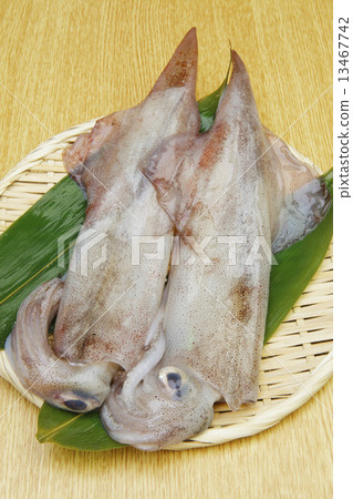 Raw yallica 13467742