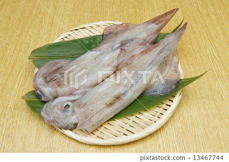 Raw yallica 13467744