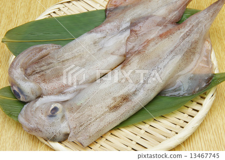 Raw yallica 13467745