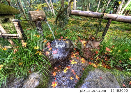 Autumn leaves of Gion in Kyoto Autumn leaves of Gion in Kyoto 13468090