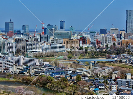 仙台市區從仙台城堡遺址 13468093