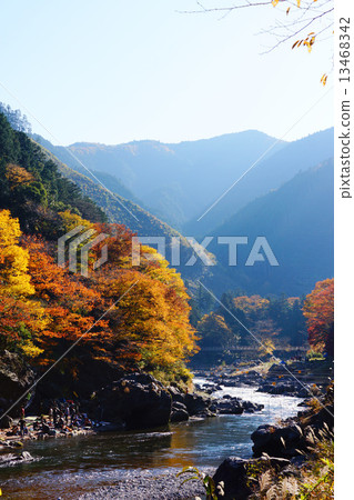 Mitake谷流和秋葉 Mitake谷流和秋葉 13468342