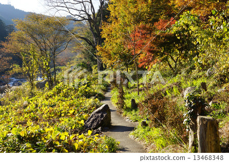 Otake Valley Promenade 13468348