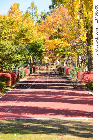 Obuse Integrated Park 13469000