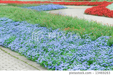 beautiful flower beds and paths 13469263