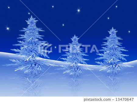 Christmas trees 13470647