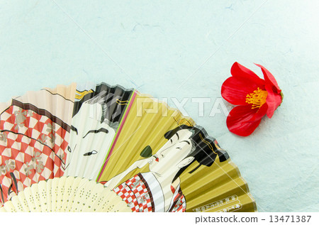 範和山茶花 13471387