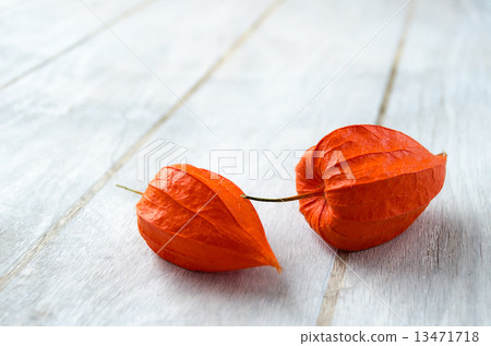 Physalis on a white wooden background 13471718