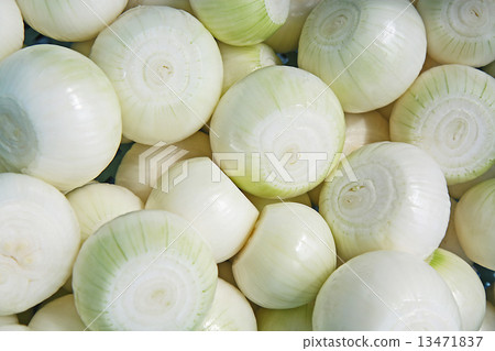 Many peeled onions 13471837