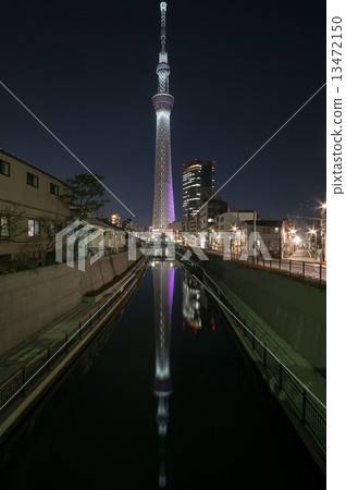 Invert tree (Fuya Ya) 13472150
