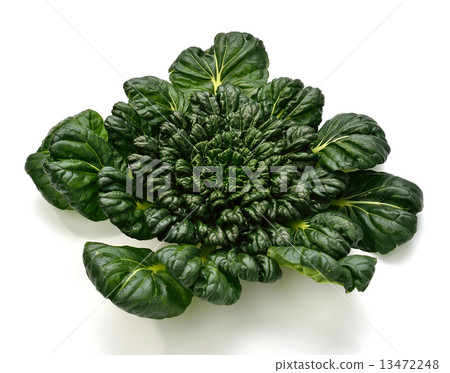 注意）白色背景上可能有一些垃圾。中國蔬菜，米糠（Tasai）。 13472248