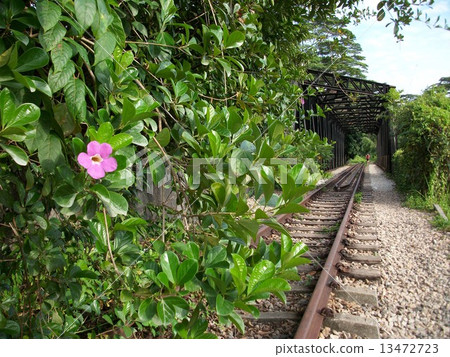 Murray railway waste line 13472723