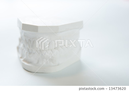 Gypsum model of human jaw on a white background. Gypsum model of human jaw on a white background. 13473620