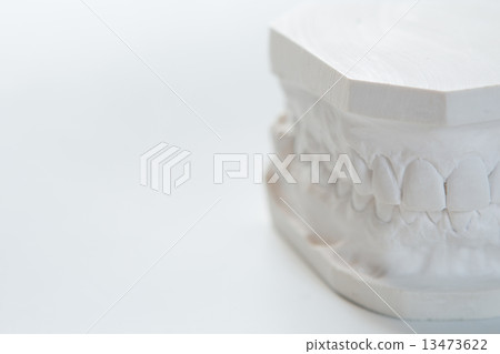Gypsum model of human jaw on a white background. Gypsum model of human jaw on a white background. 13473622
