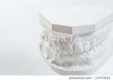 Gypsum model of human jaw on a white background. Gypsum model of human jaw on a white background. 13473625