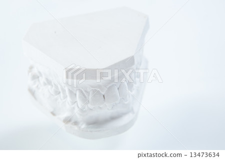 Gypsum model of human jaw on a white background. 13473634