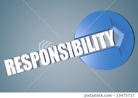 Responsibility 13473737