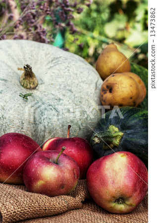 harvest seasonal vegetables harvest seasonal vegetables 13473862