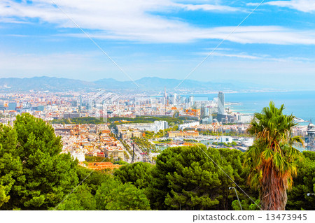 Panorama on Barcelona city from Montjuic castle.Catalonia. Spain 13473945
