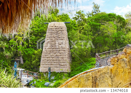 Beautiful landscape of humid tropical jungle. 13474018