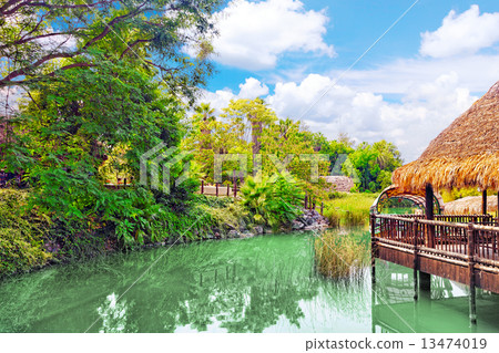 Beautiful landscape of humid tropical jungle. Beautiful landscape of humid tropical jungle. 13474019