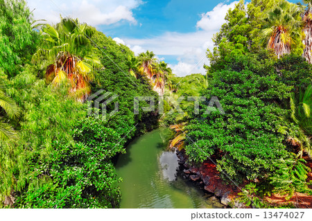 Beautiful landscape of humid tropical jungle. Beautiful landscape of humid tropical jungle. 13474027
