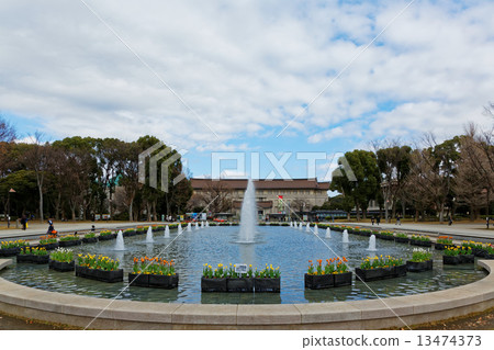 Ueno Park Fountain Square early blooming tulips and Tokyo National Museum 13474373