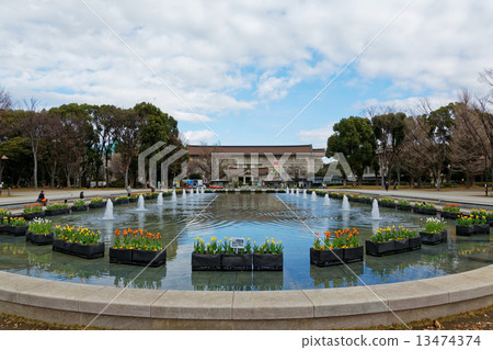 Ueno Park Fountain Square early blooming tulips and Tokyo National Museum Ueno Park Fountain Square early blooming tulips and Tokyo National Museum 13474374