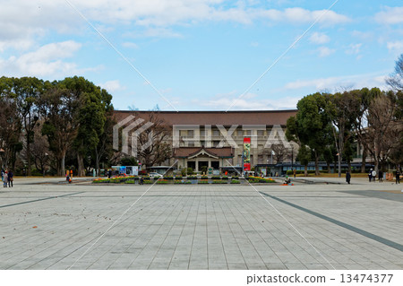 Ueno Park Fountain Square early blooming tulips and Tokyo National Museum Ueno Park Fountain Square early blooming tulips and Tokyo National Museum 13474377