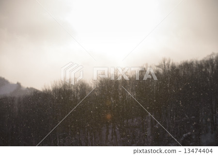 Snowfall (Hokkaido) 13474404