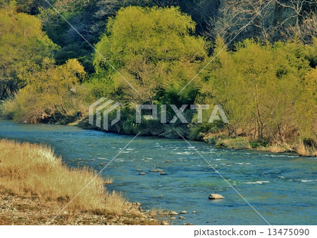 Fresh green clear stream Fresh green clear stream 13475090