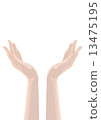 hand  13475195