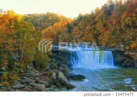 Autumn leaves Cumberland Falls, Kentucky, USA Autumn leaves Cumberland Falls, Kentucky, USA 13475475