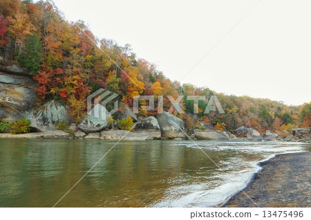 Cumberland Falls State Park, Kentucky, USA 13475496