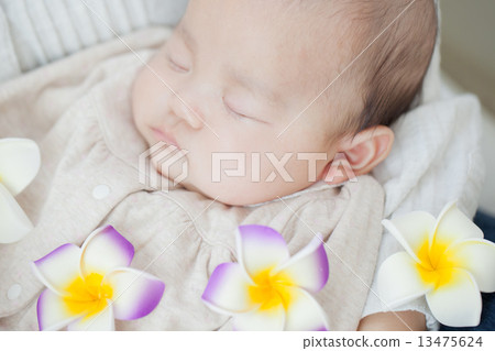 infant, 3 months after birth, baby 13475624